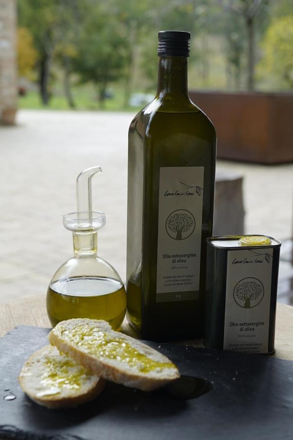 Agriturismo Colle Casini Cortesi Caldarola Kültér fotó
