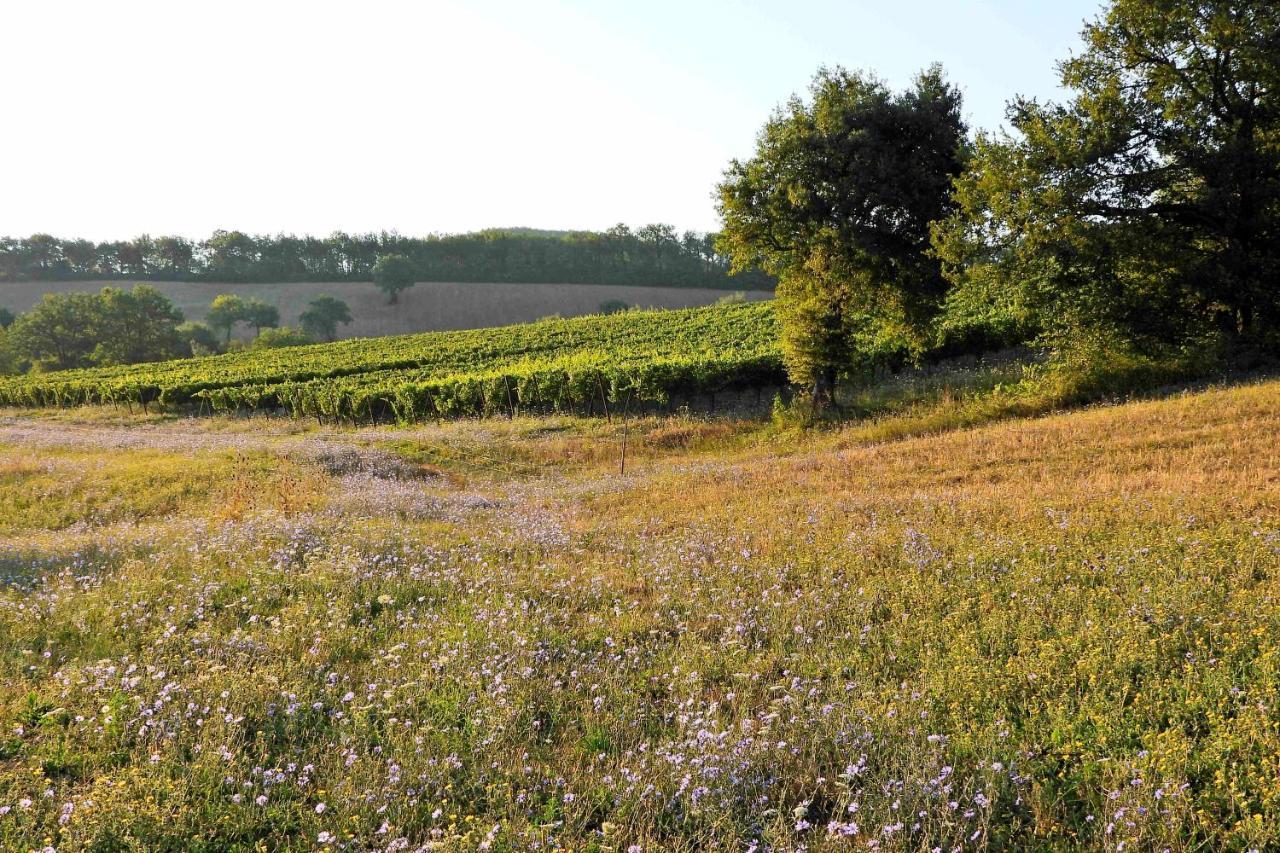 Agriturismo Colle Casini Cortesi Caldarola Kültér fotó