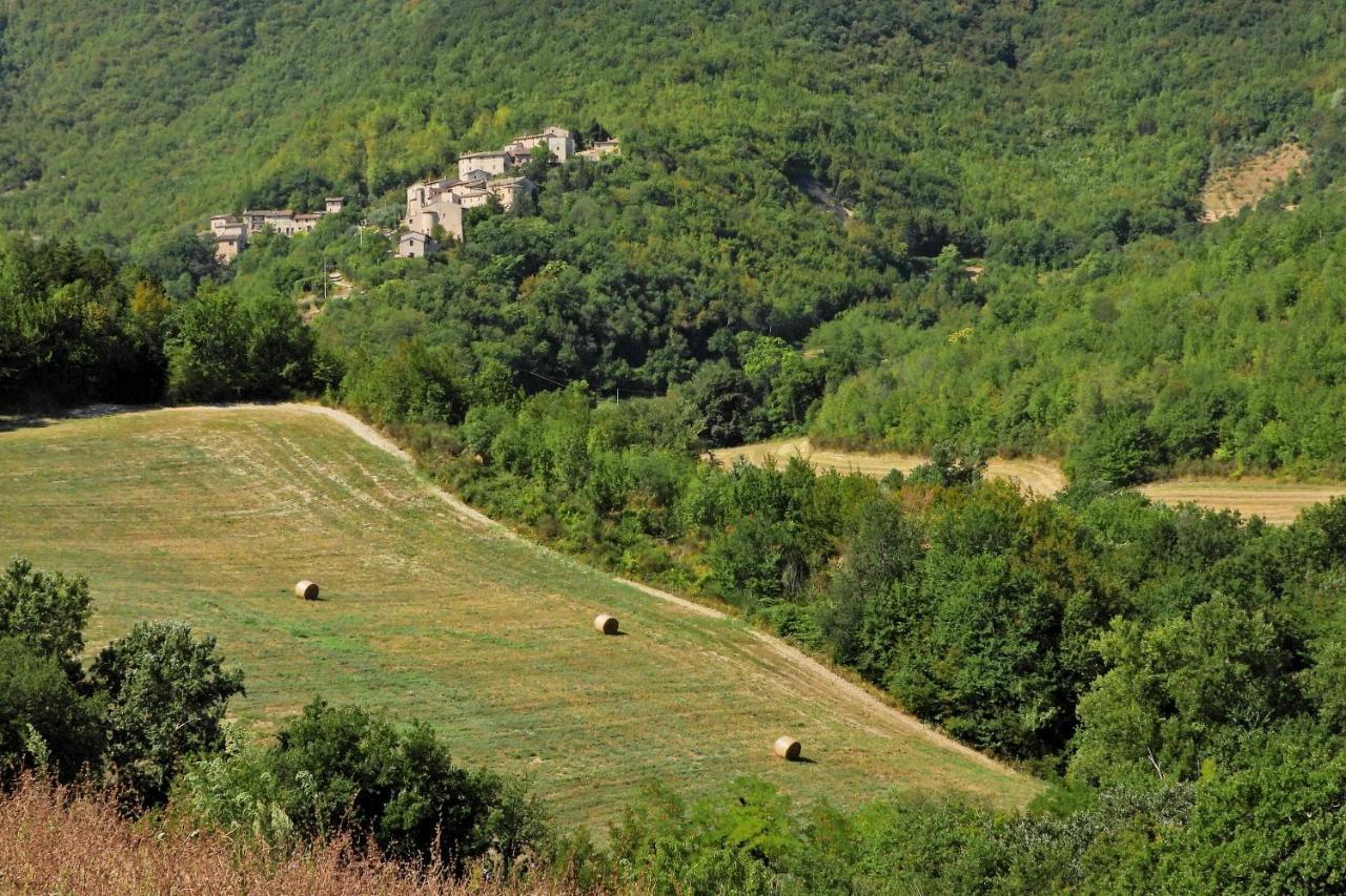 Agriturismo Colle Casini Cortesi Caldarola Kültér fotó
